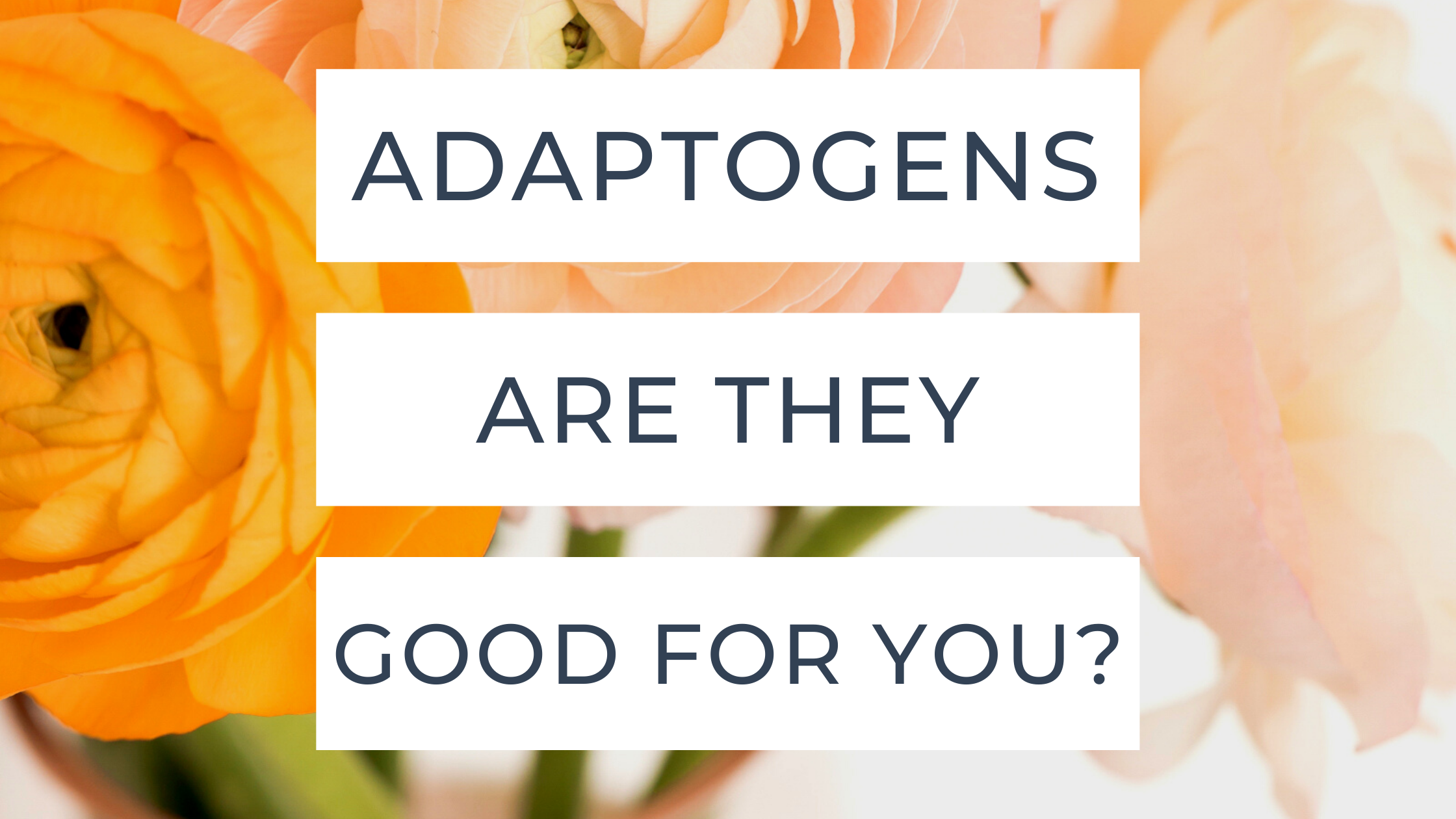Adaptogens! Are They Good For You?