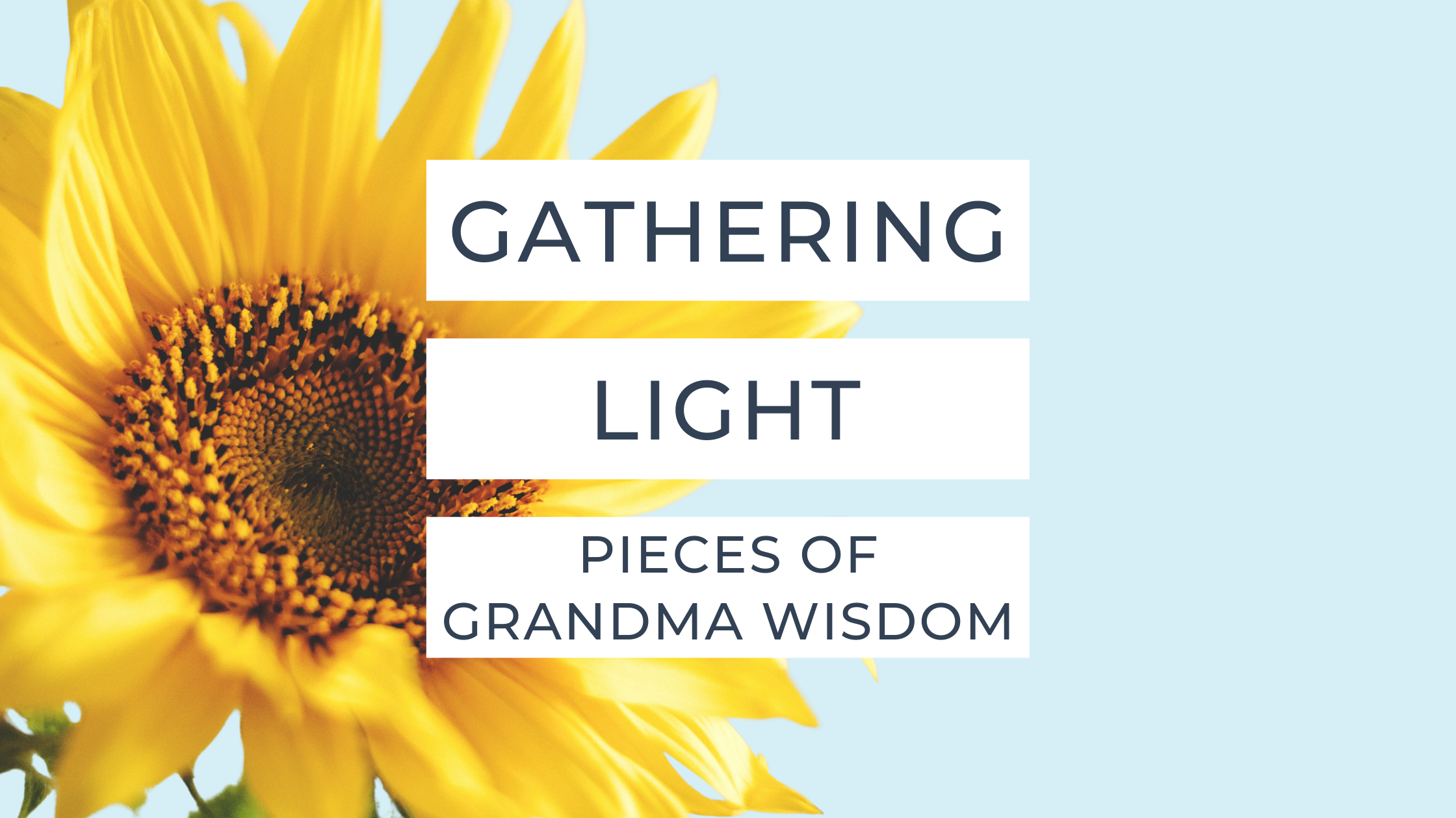 Grandma Wisdom: #1 Gathering Light