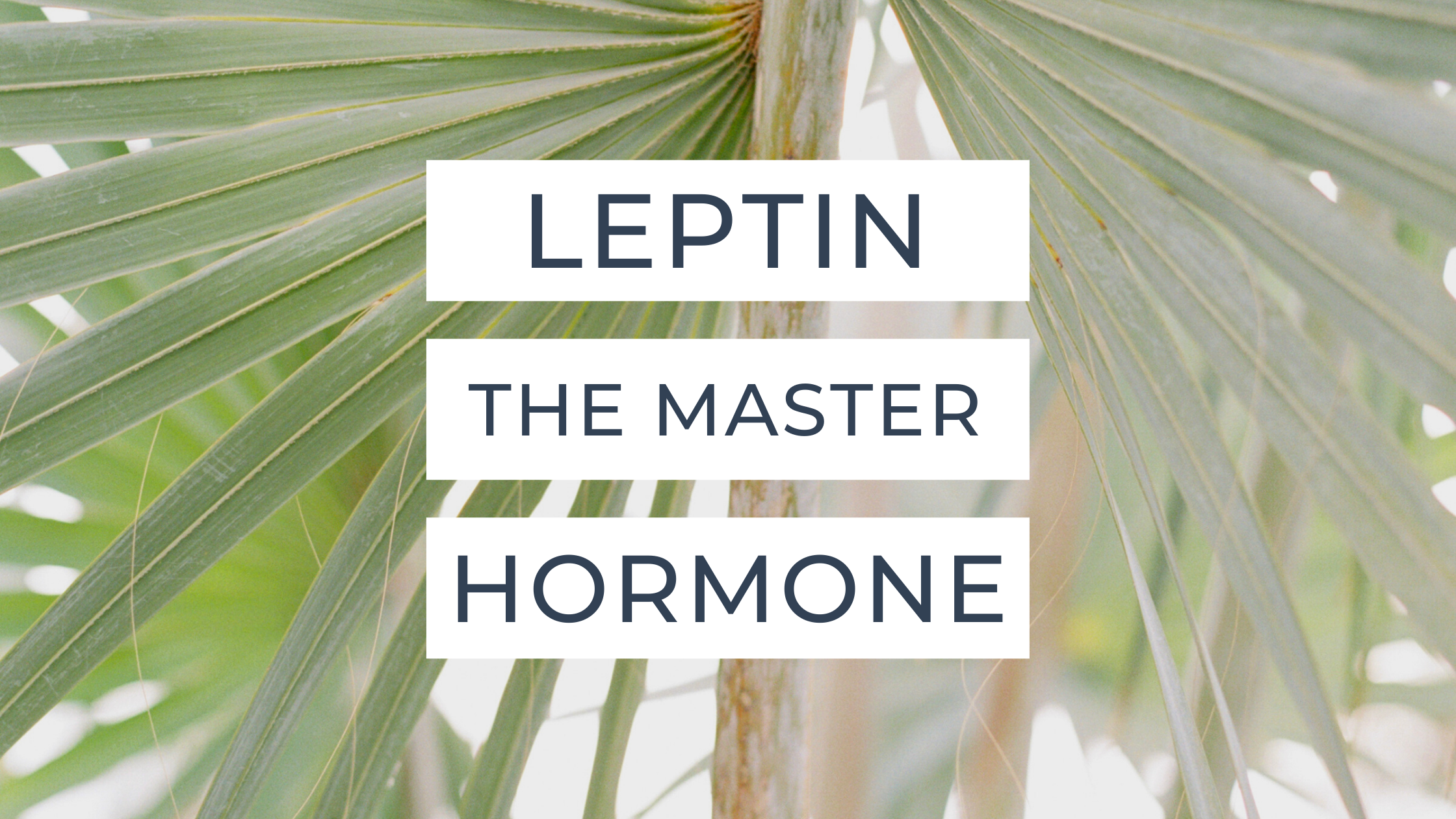 Leptin, The Master Hormone