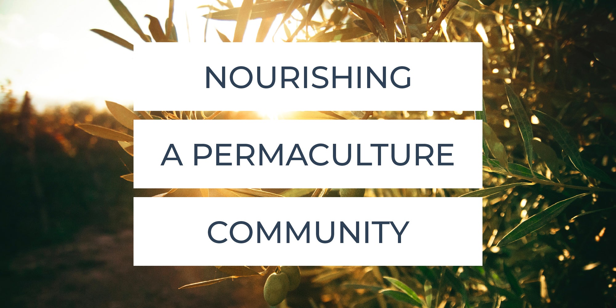 NOURISHING A PERMACULTURE COMMUNITY