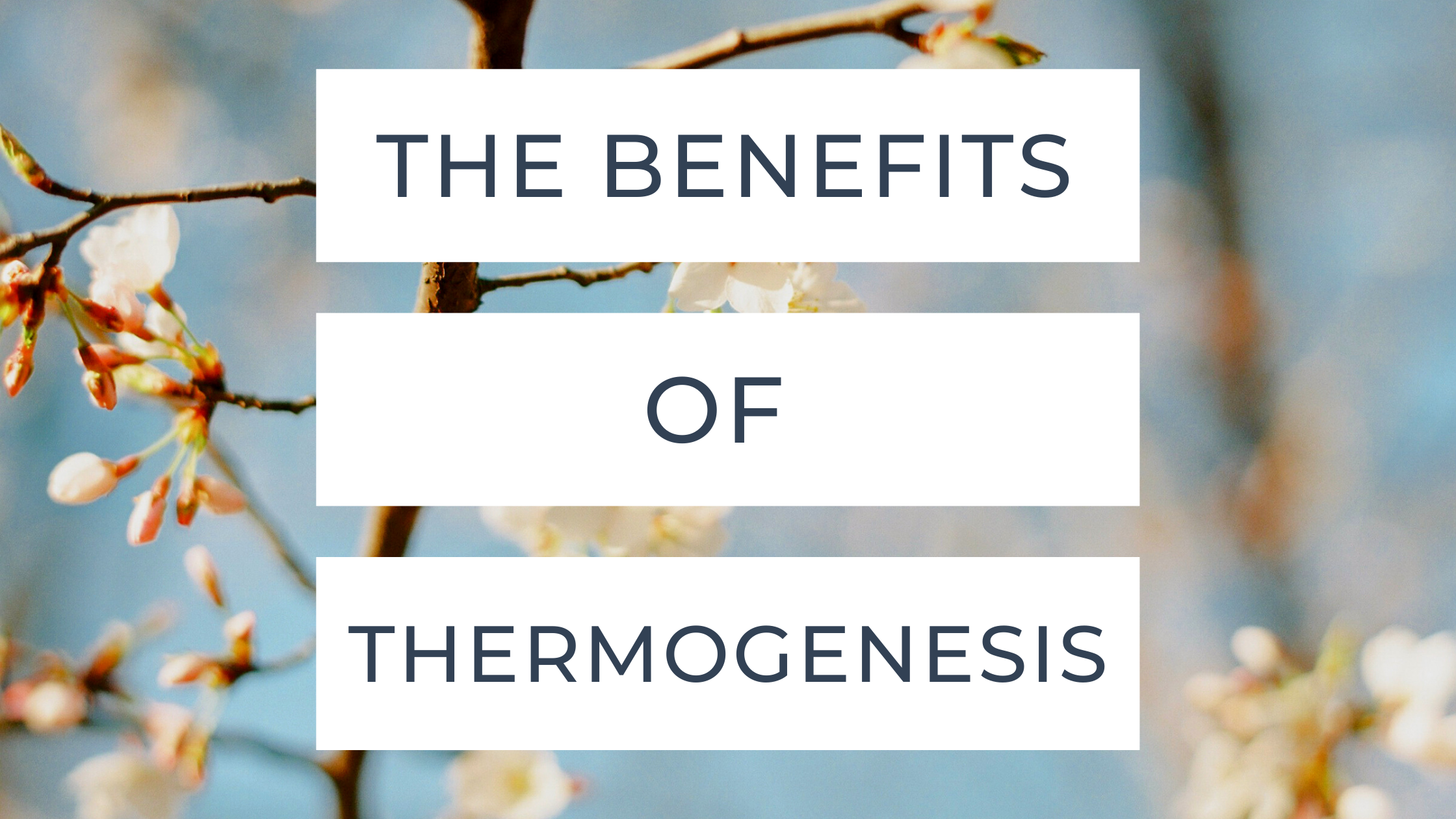 The Benefits of Thermogenesis