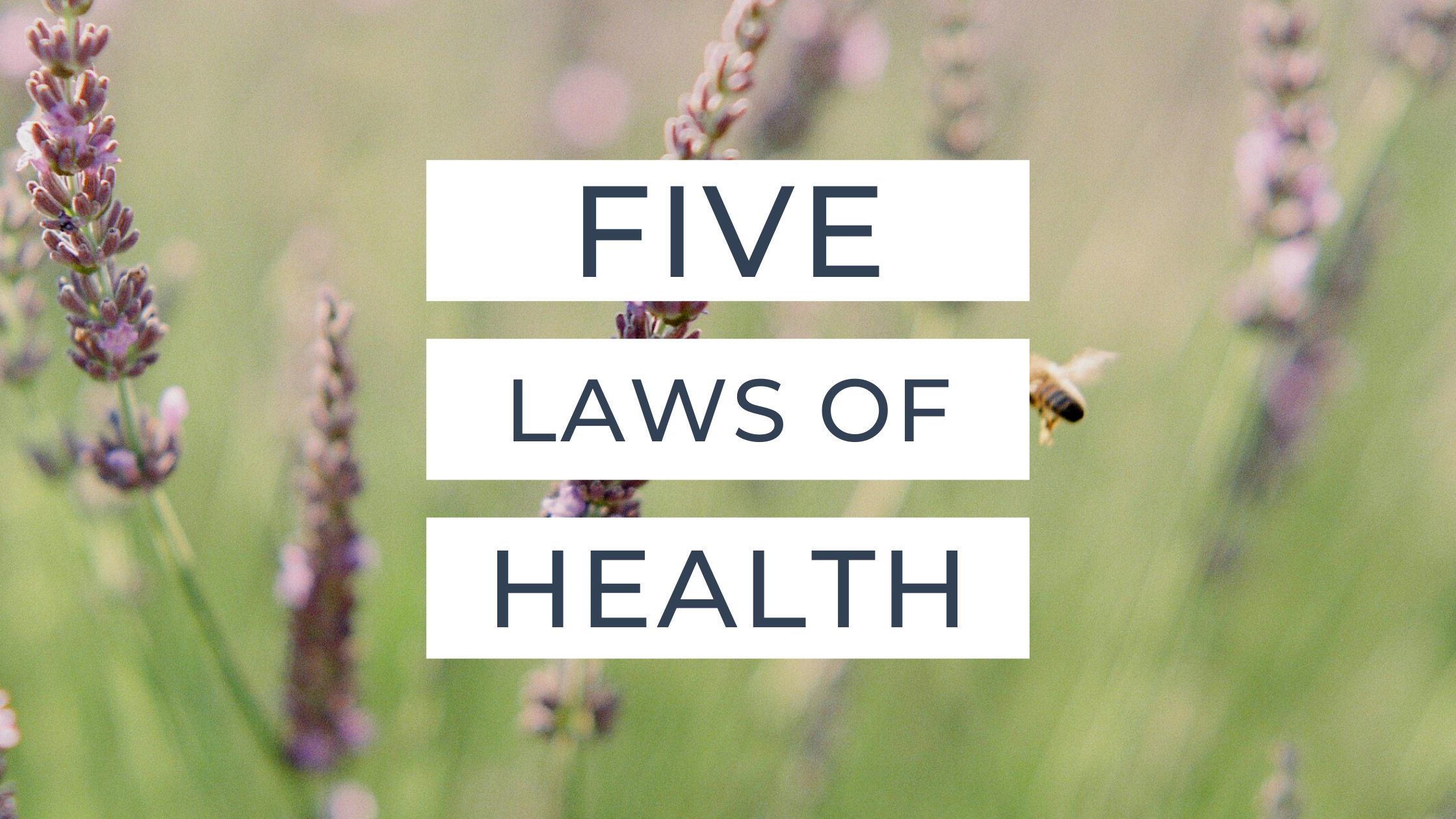 5 Laws of Health