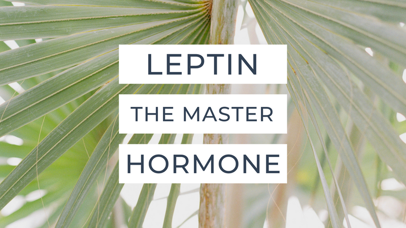 Leptin, The Master Hormone